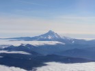 View of Mt. Hood in-flight